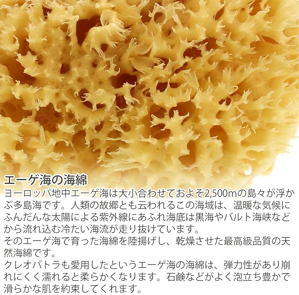 Amazon | お肌に優しく安心の 天然海綿 ボディ スポンジ